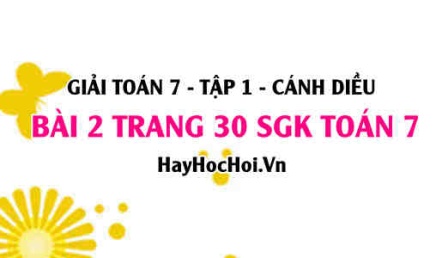 Giải bài 2 trang 30 Toán 7 Tập 1 SGK Cánh Diều